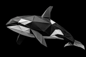 Monochrome origami orca symbolizing the hidden value of old leads that businesses often overlook when evaluating lead reactivation opportunities